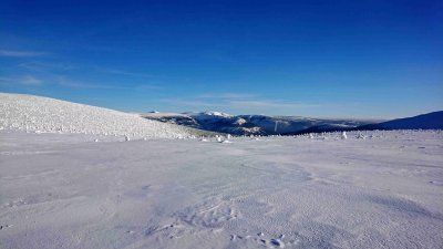 Labská louka