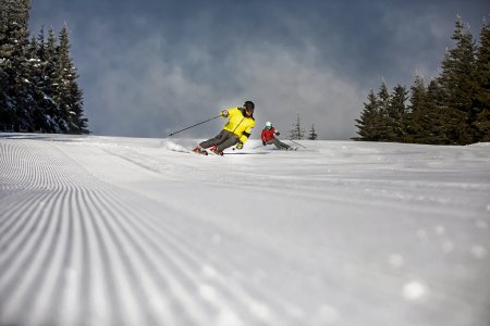 Fresh track - Špindlerův Mlýn