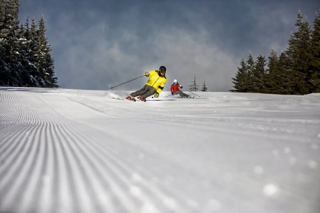 Fresh track - Špindlerův Mlýn