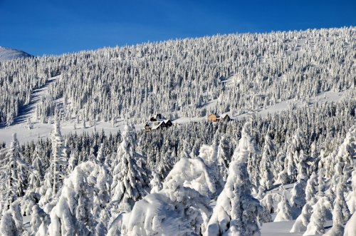 7 Tipps für die Anmietung eines ganzen Ferienhauses in Spindleruv Mlyn