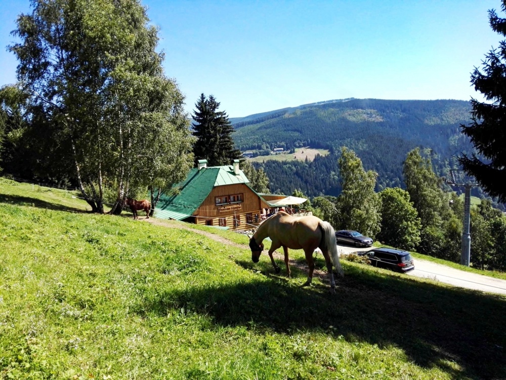Cover obrázek